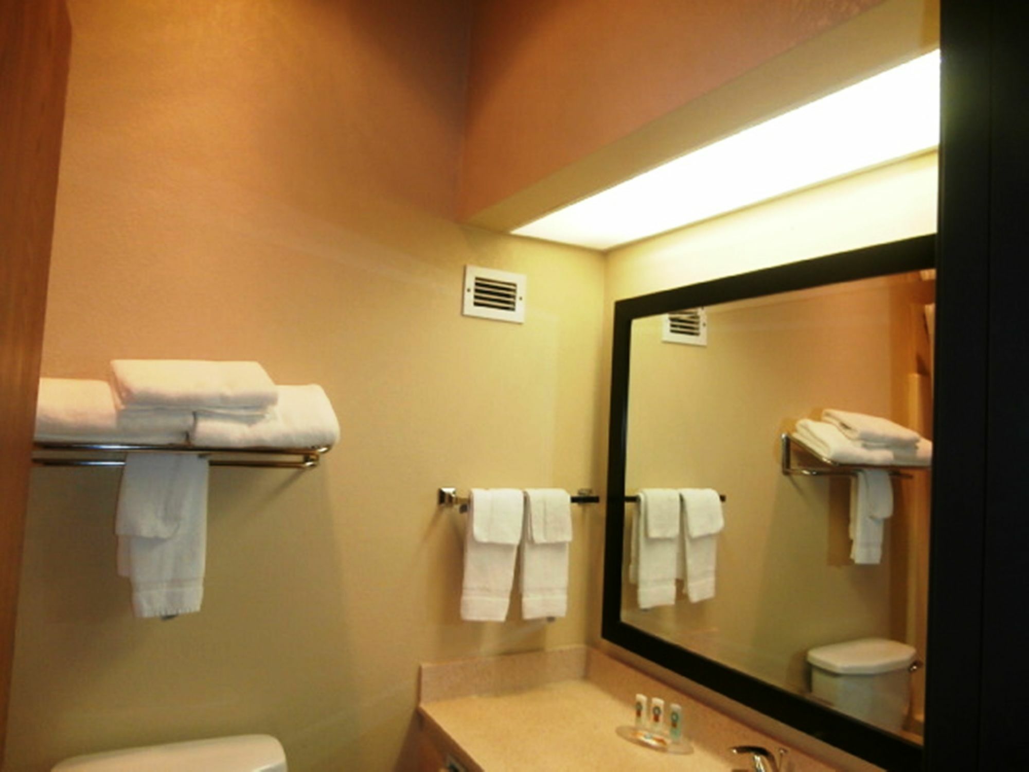 Surestay Plus Hotel By Best Western Blue Springs Buitenkant foto